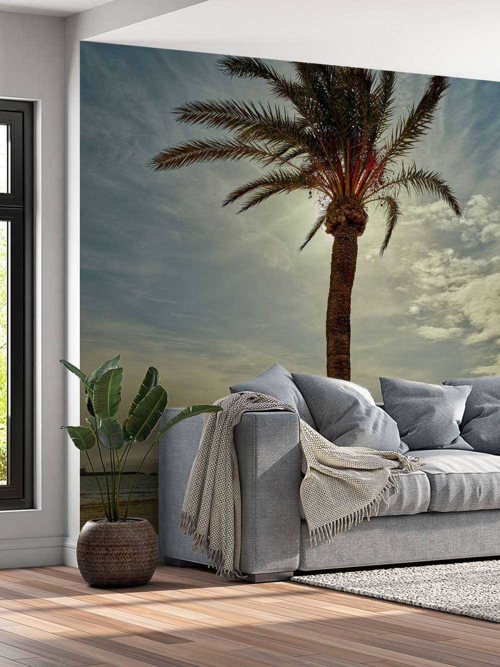 Palmera al sol