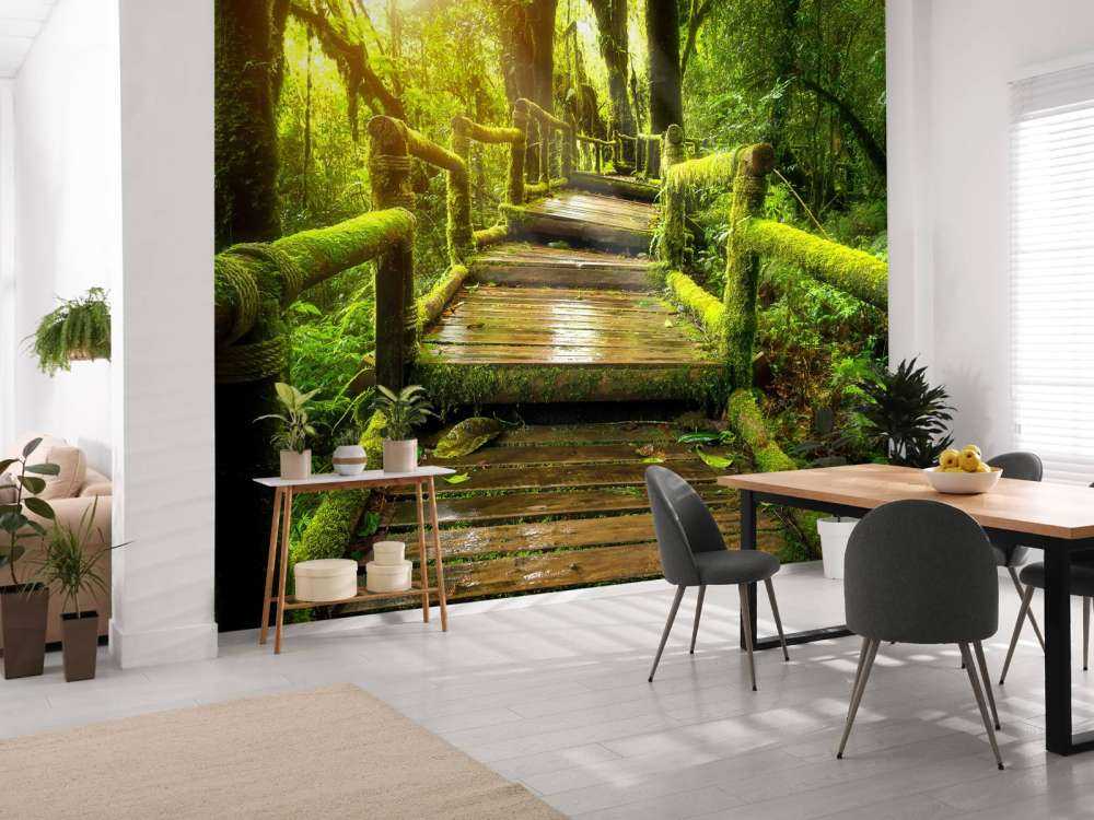 Grandes escaleras de la selva