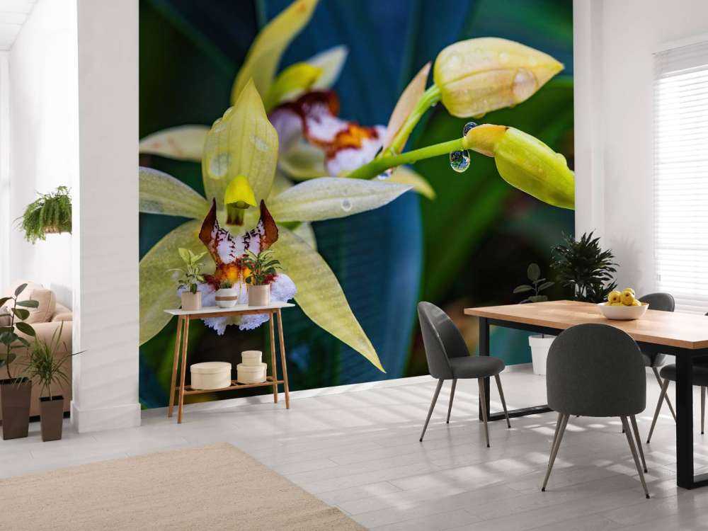 Orquídea amarilla salvaje
