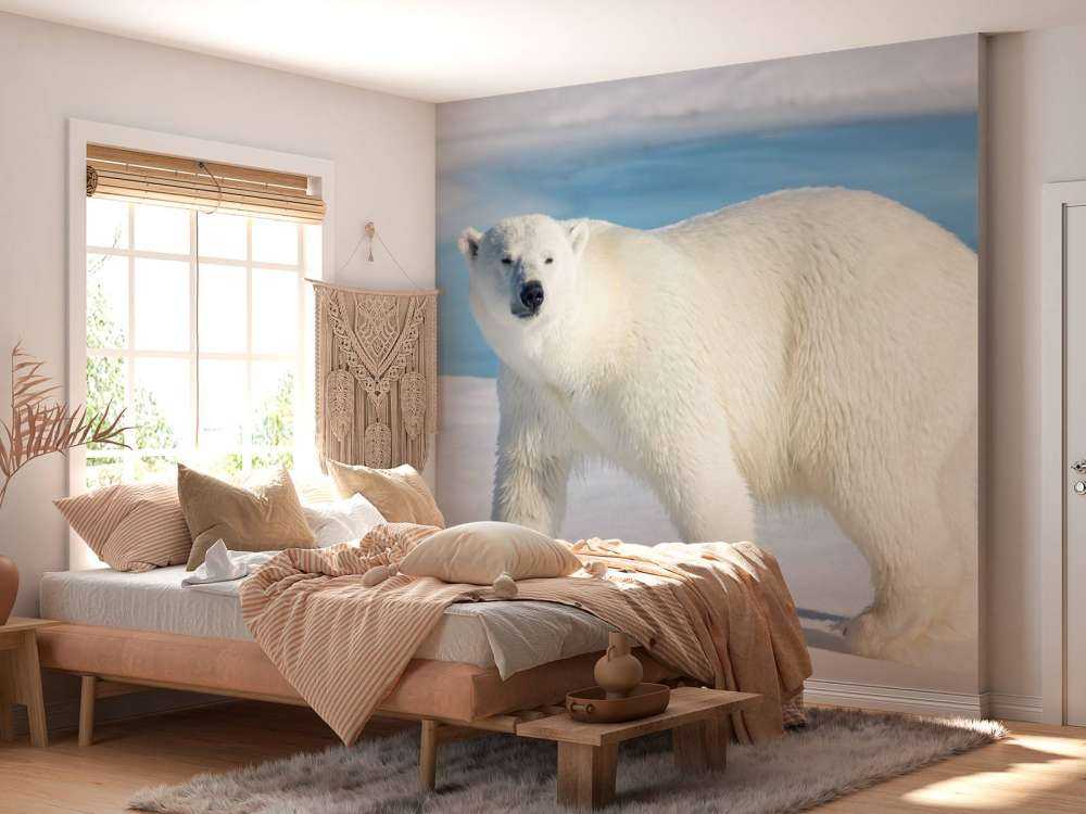 Oso polar