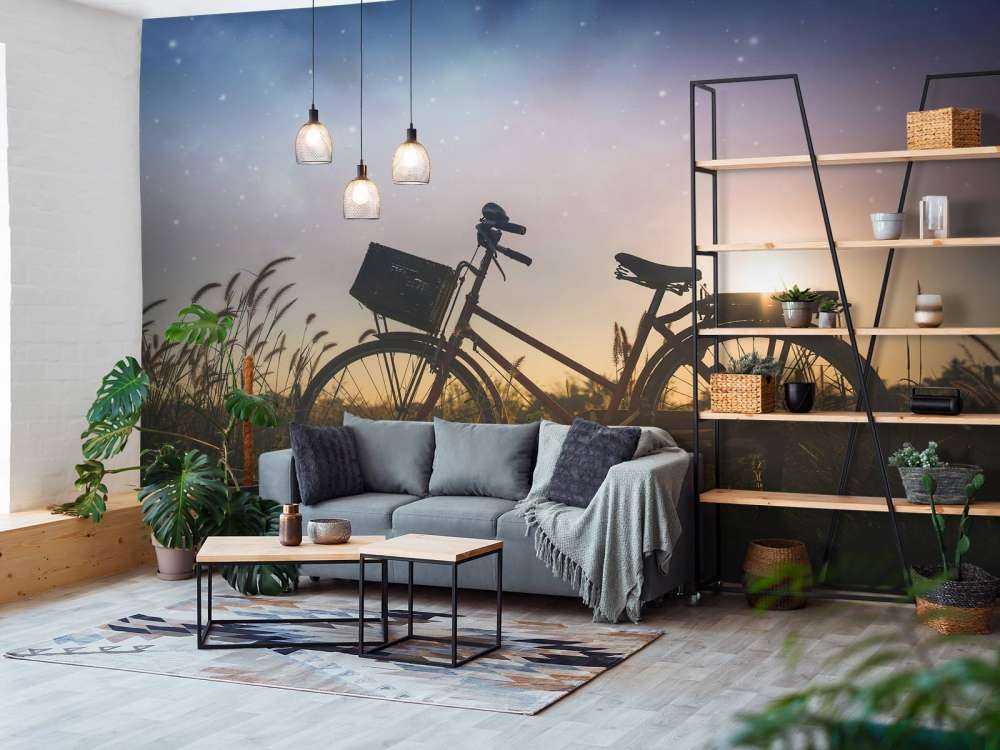 Bicicleta silueta