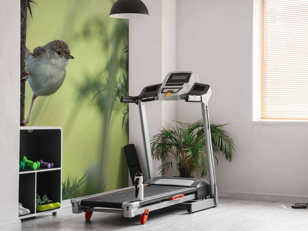 Pájaro en una rama