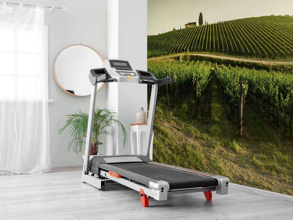 Viñedo de la Toscana