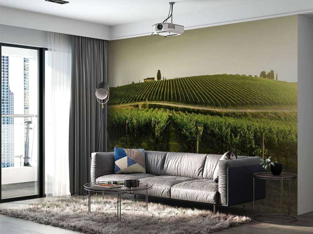 Viñedo de la Toscana