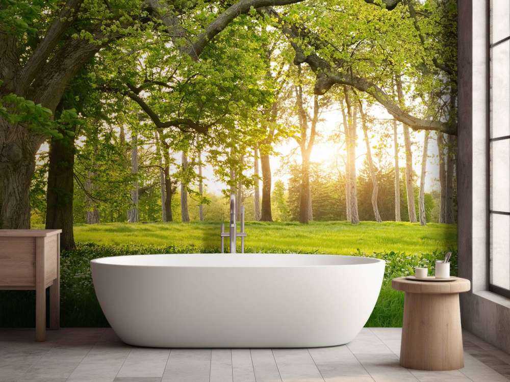Espacio abierto en el bosque