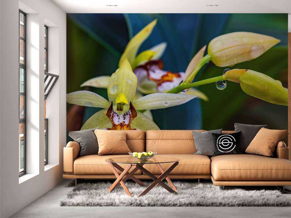 Orquídea amarilla salvaje