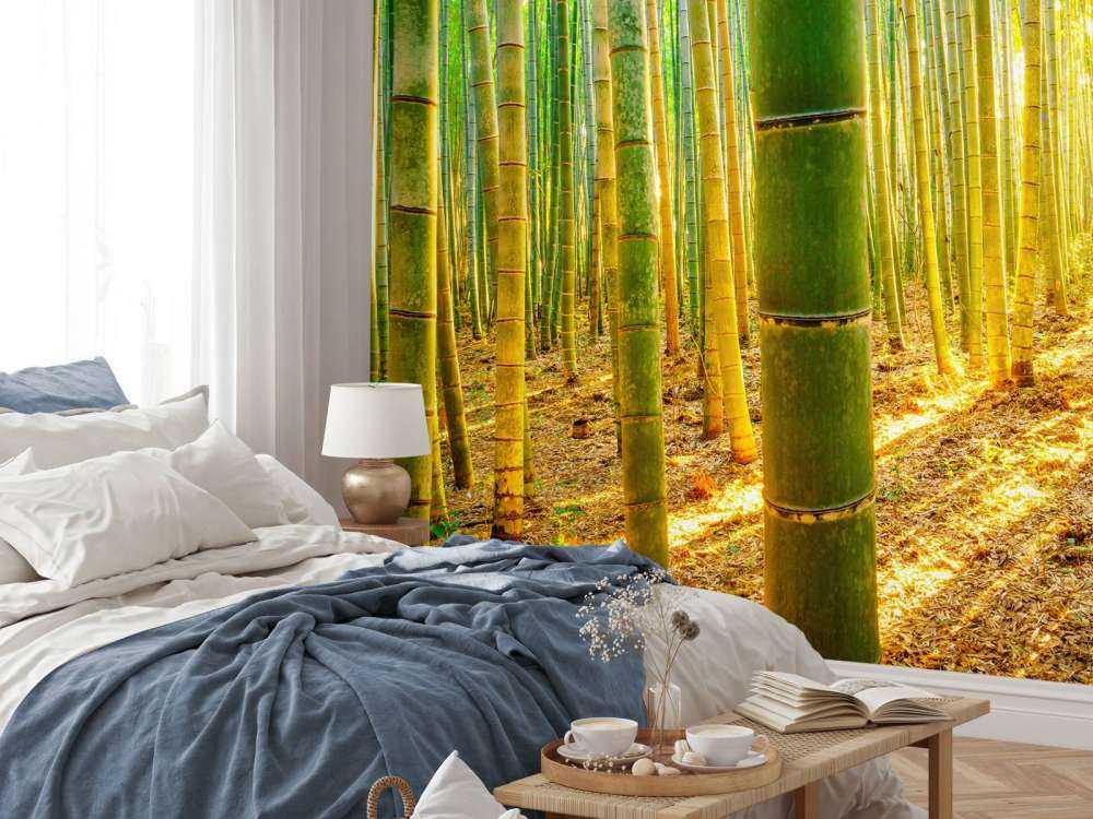 Bosque de bambú al amanecer