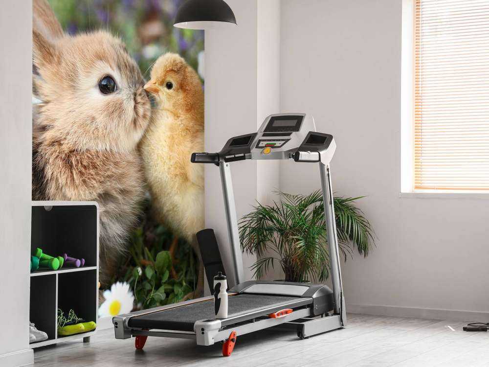 Conejo y pollito