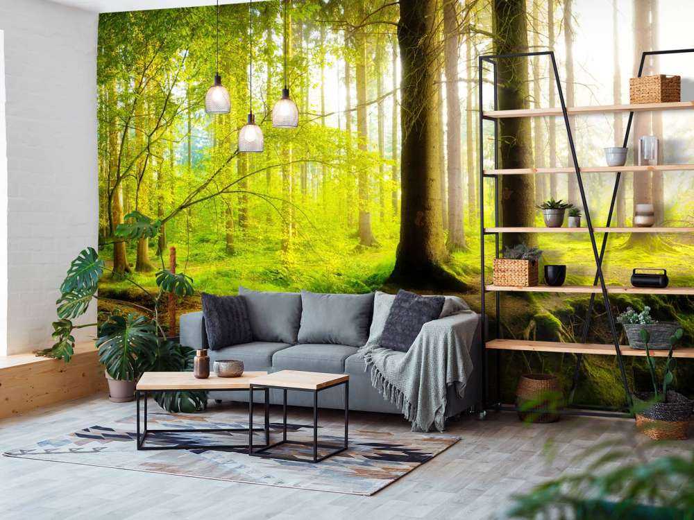 Bosque verde y fresco