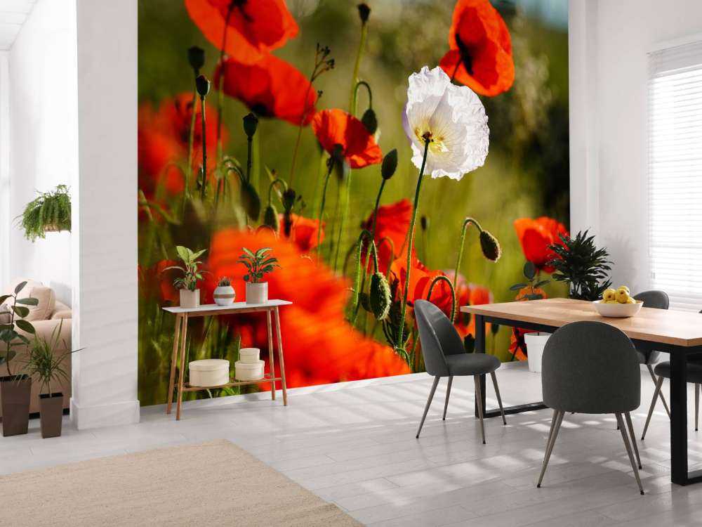Grupo de amapolas