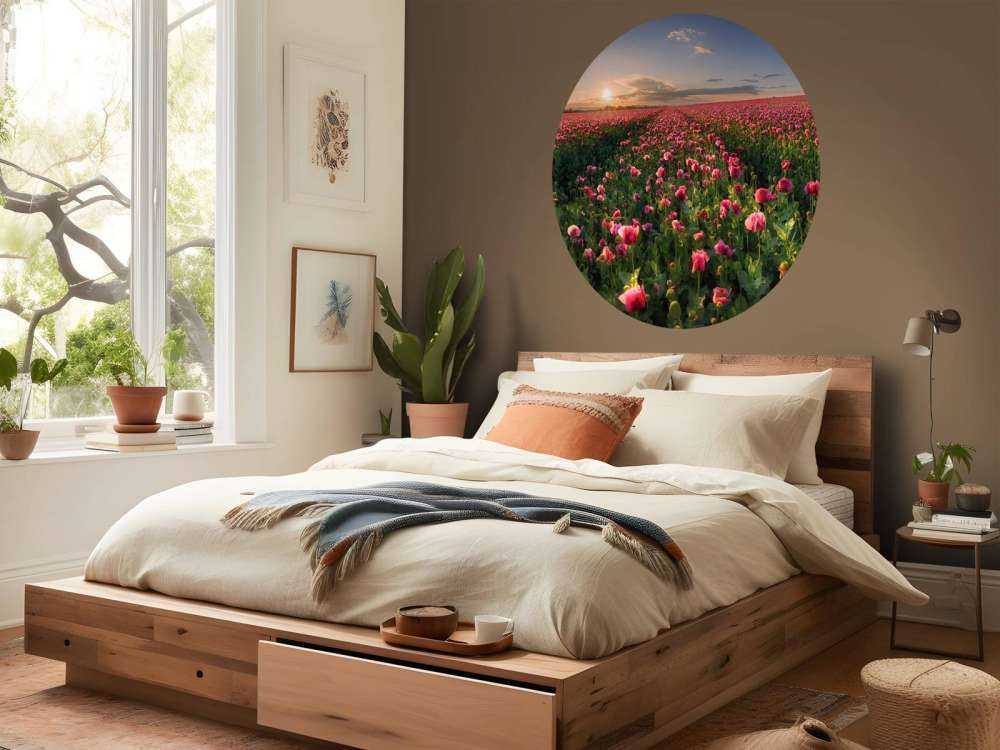 Campo de amapolas rosas