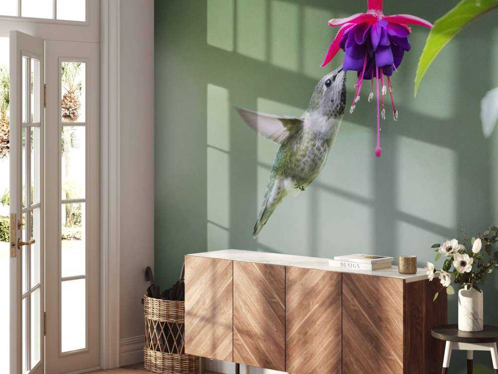 Bebida de colibrí