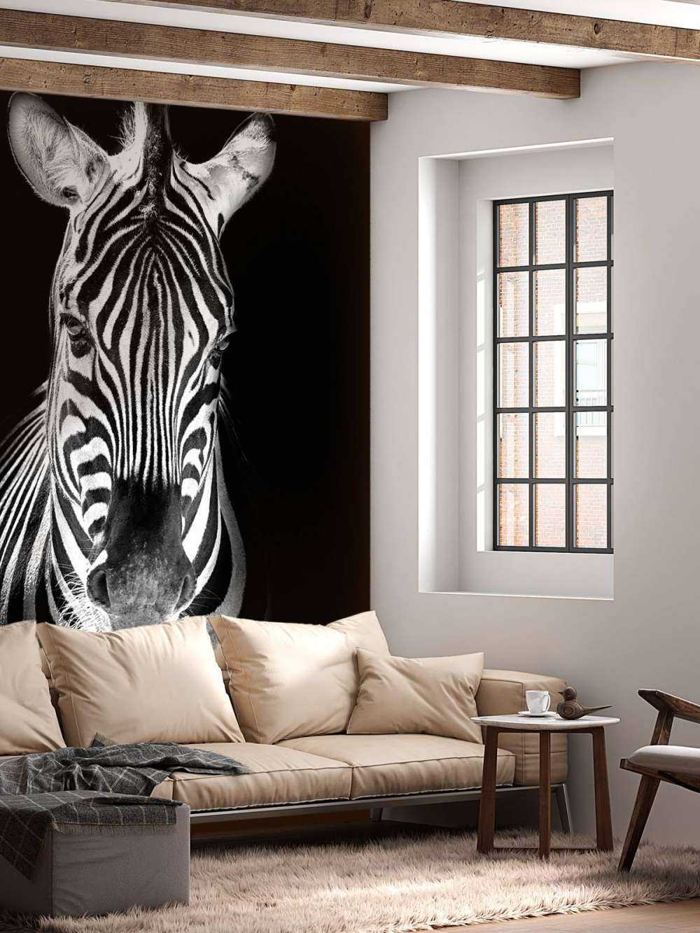 Primer plano de cebra en blanco y negro