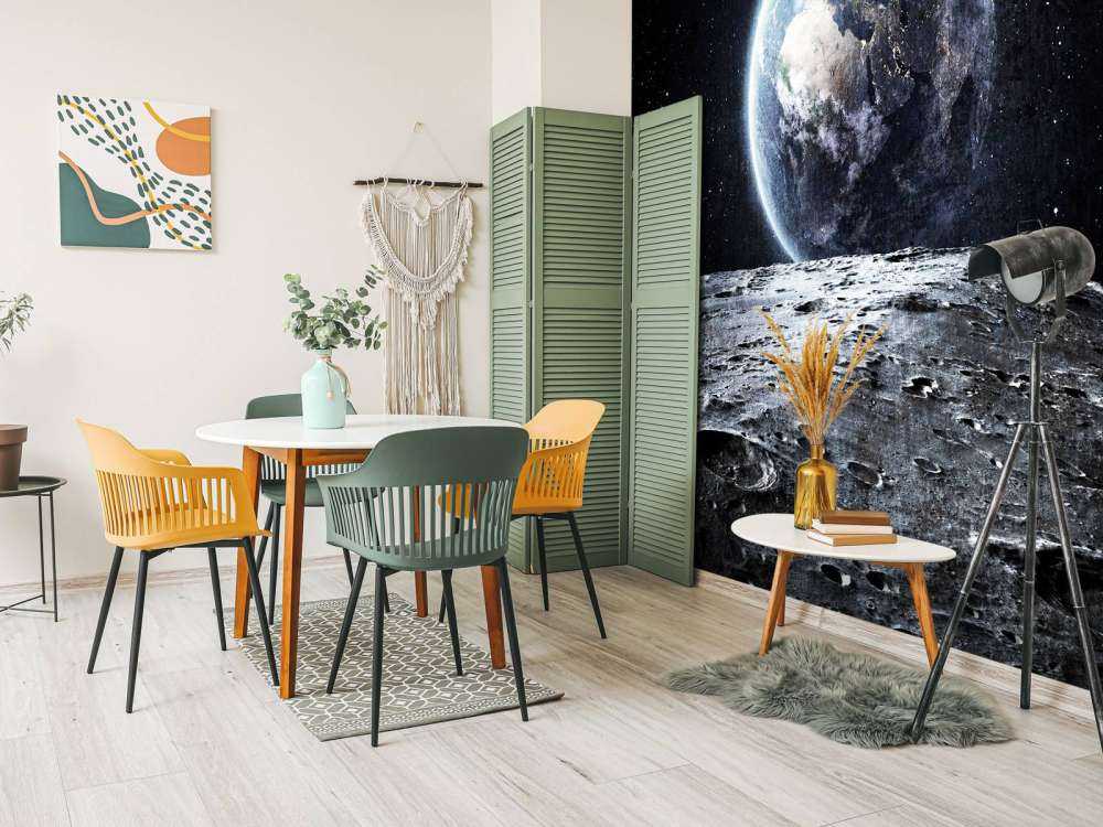 La luna y la tierra