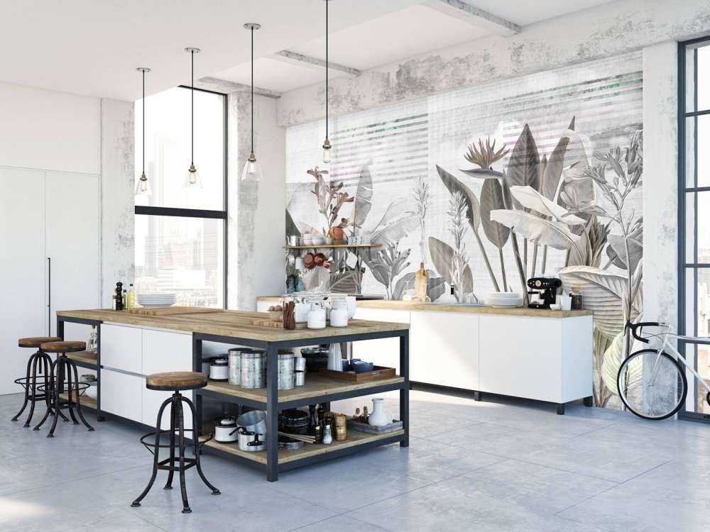 Dreams and Tropics 6