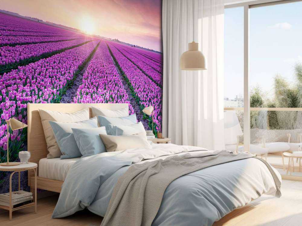 Tulipfield al amanecer