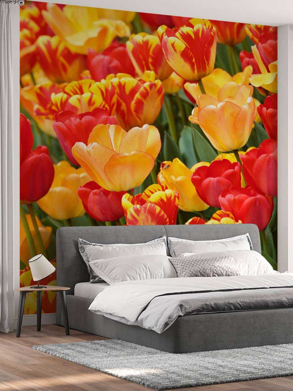 Tulipanes de colores