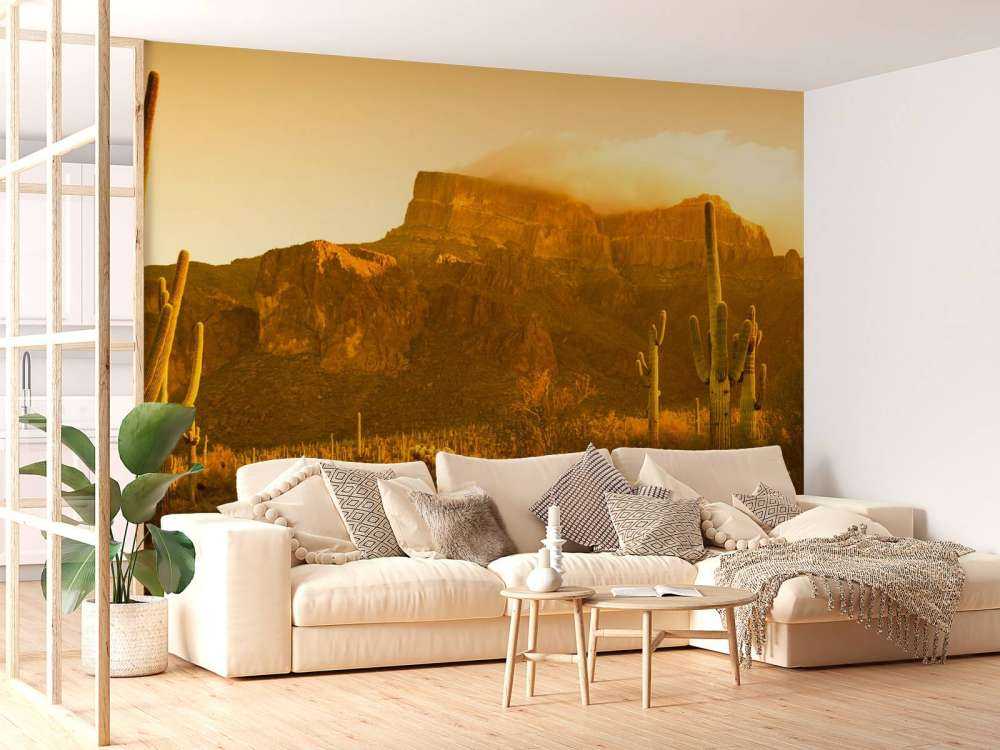 Desierto con cactus