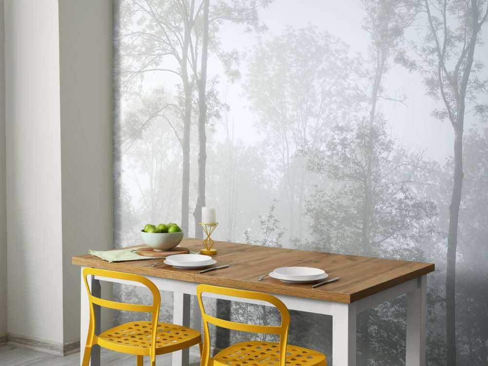 Densa niebla en el bosque