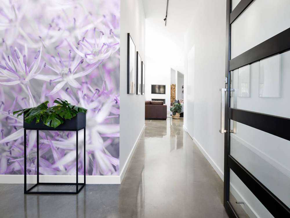 Primer plano de las flores de Allium
