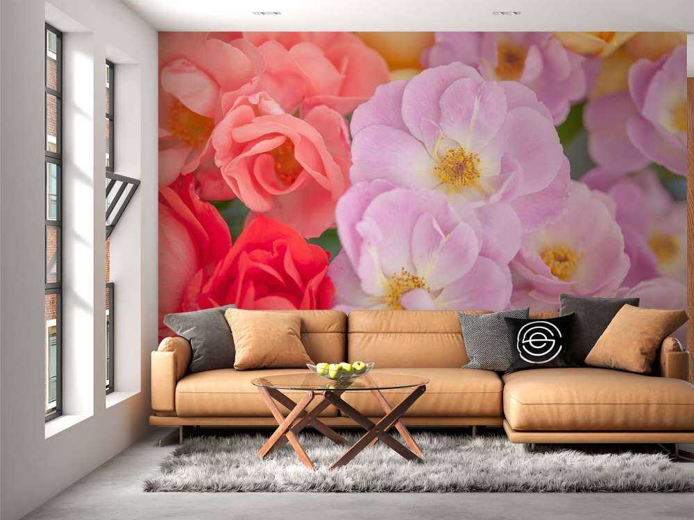 Flores de colores