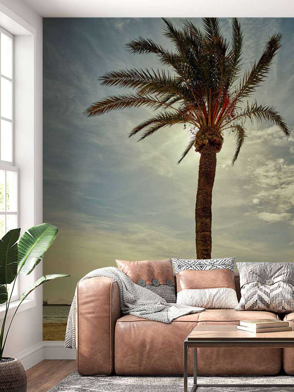 Palmera al sol