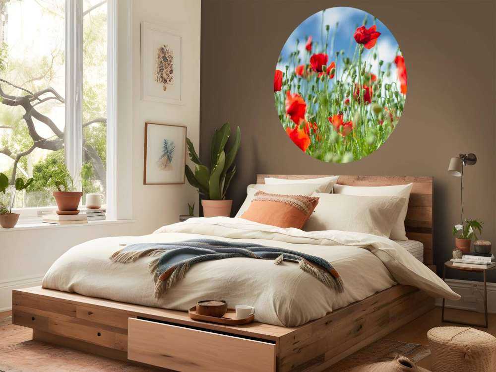 Campo con amapolas