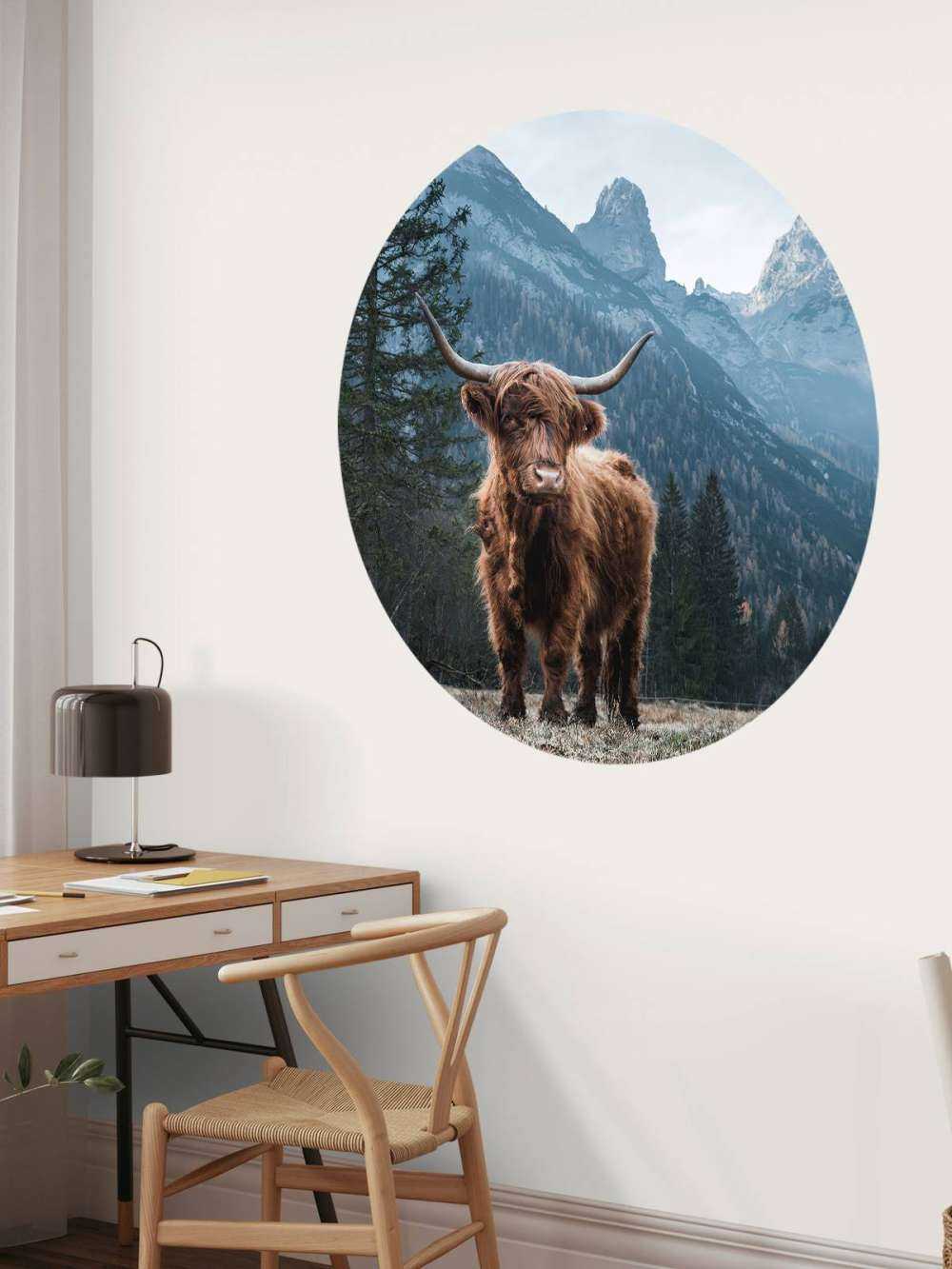Una vaca escocesa entre los árboles