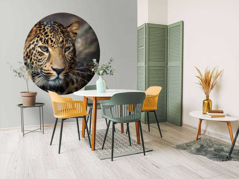 Primer plano de un leopardo