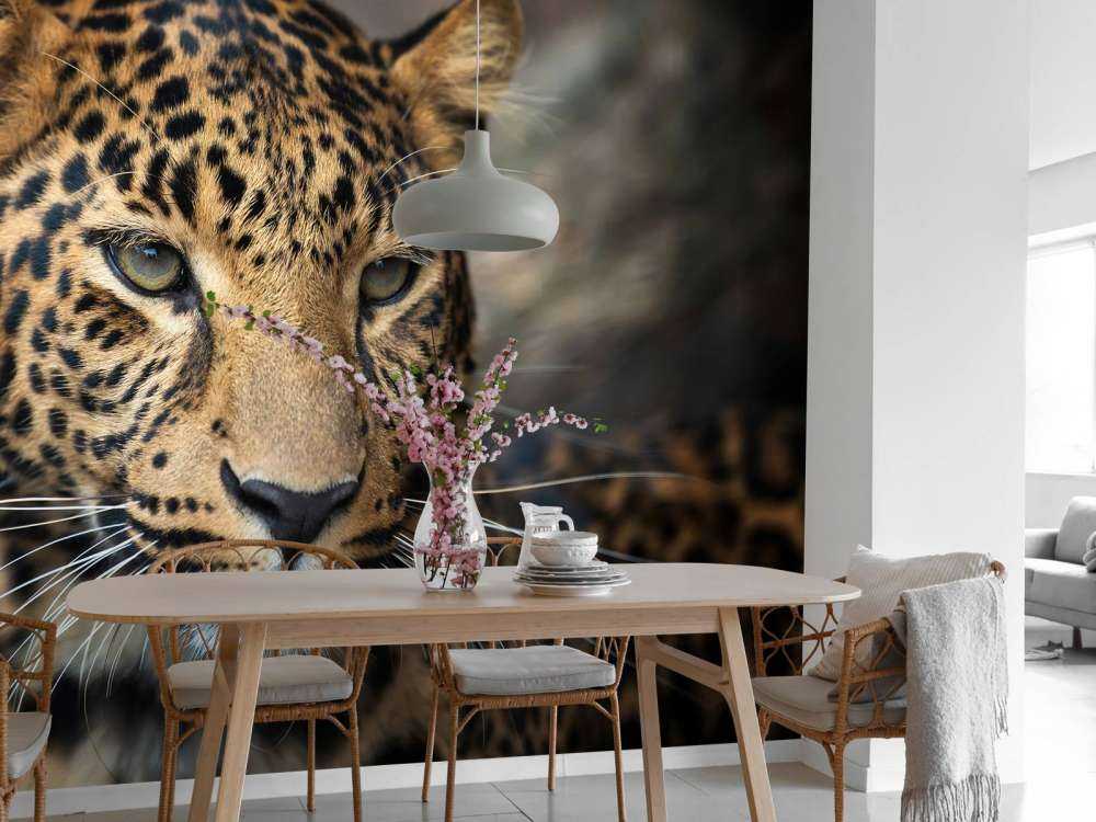Primer plano de un leopardo