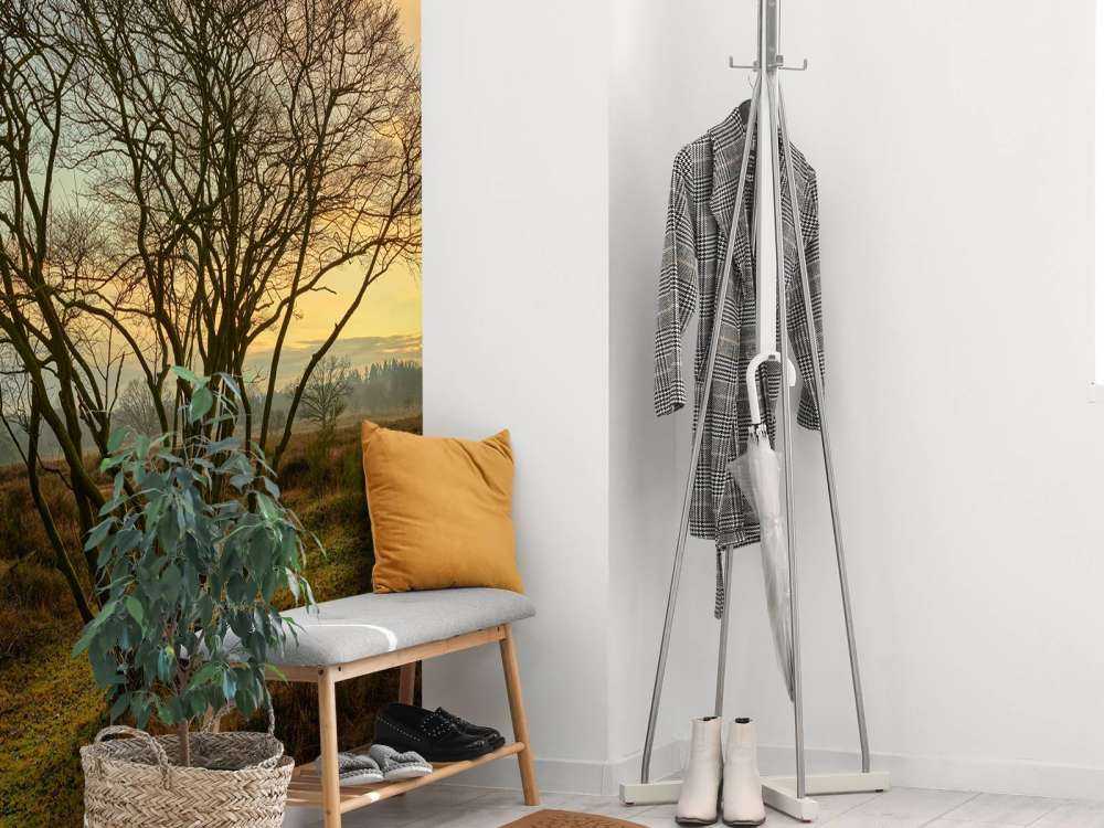 Amanecer en el páramo