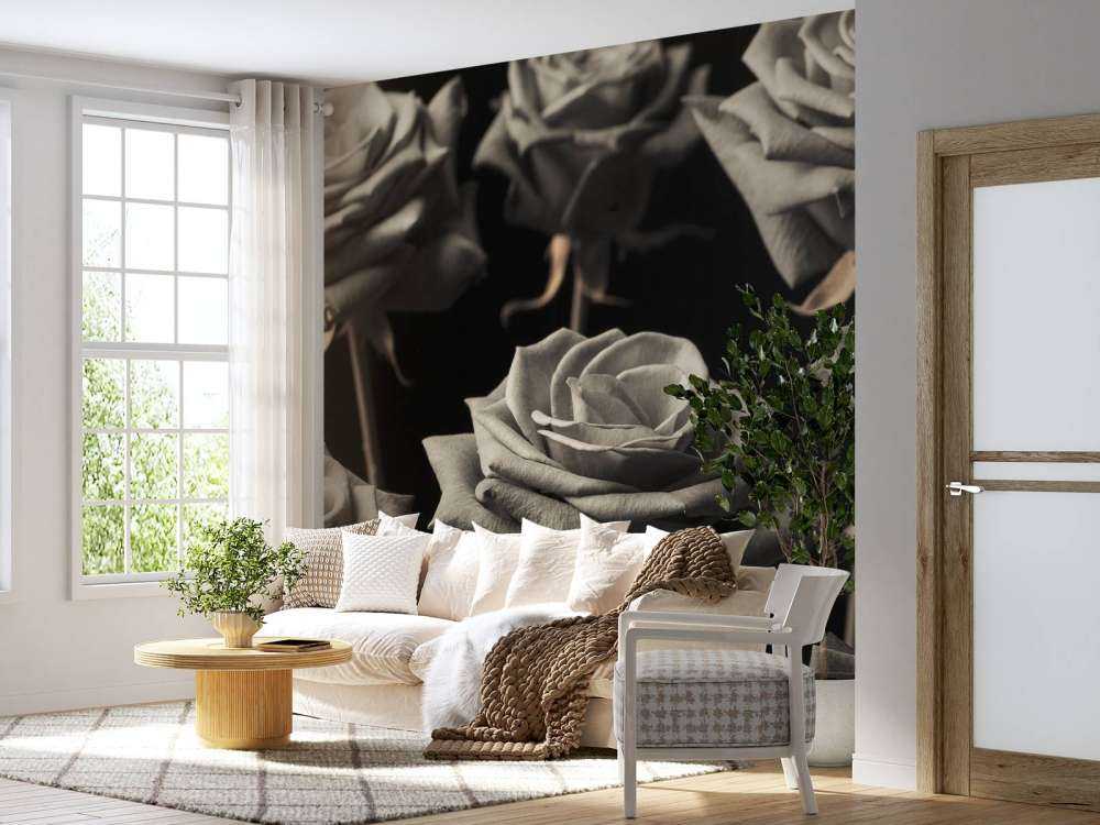 Rosas sepia