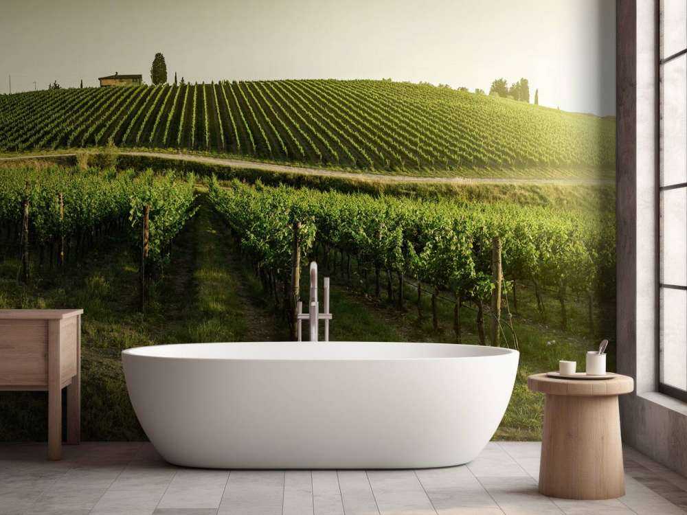 Viñedo de la Toscana