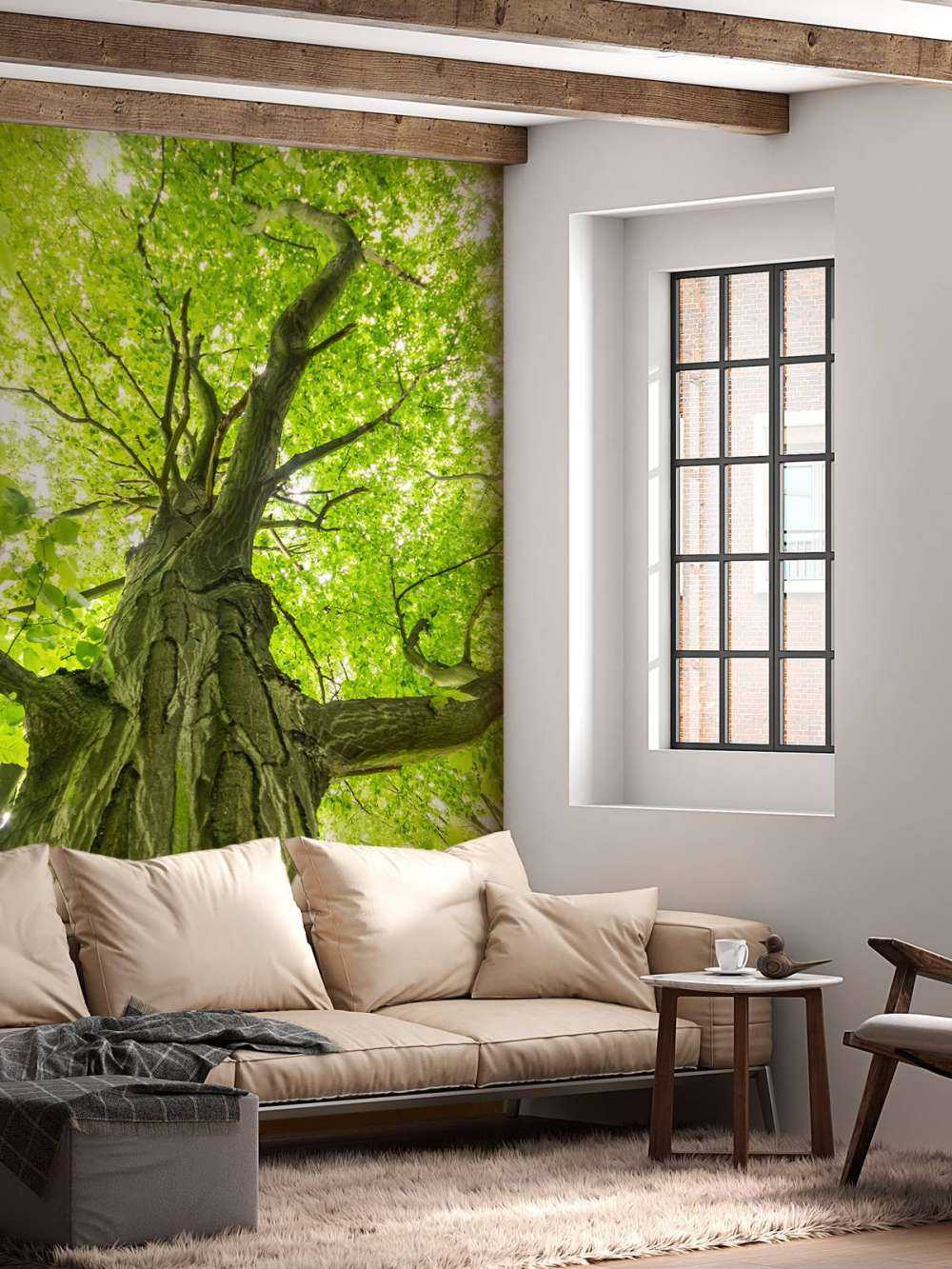 Gran árbol en el bosque