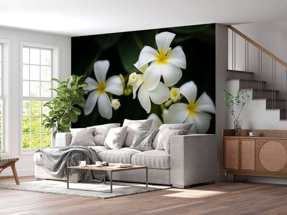 Primer plano de la Plumeria