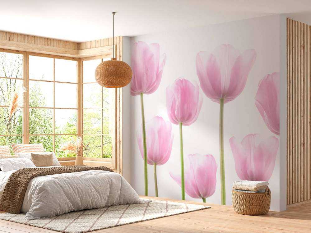 Tulipanes rosas