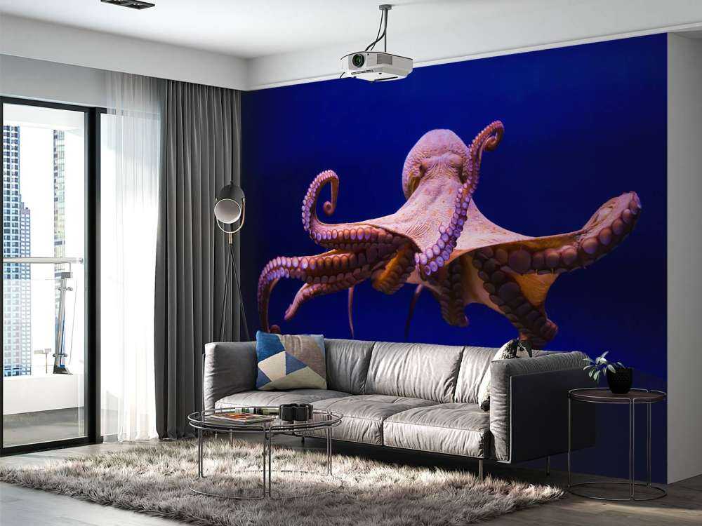 Pulpo