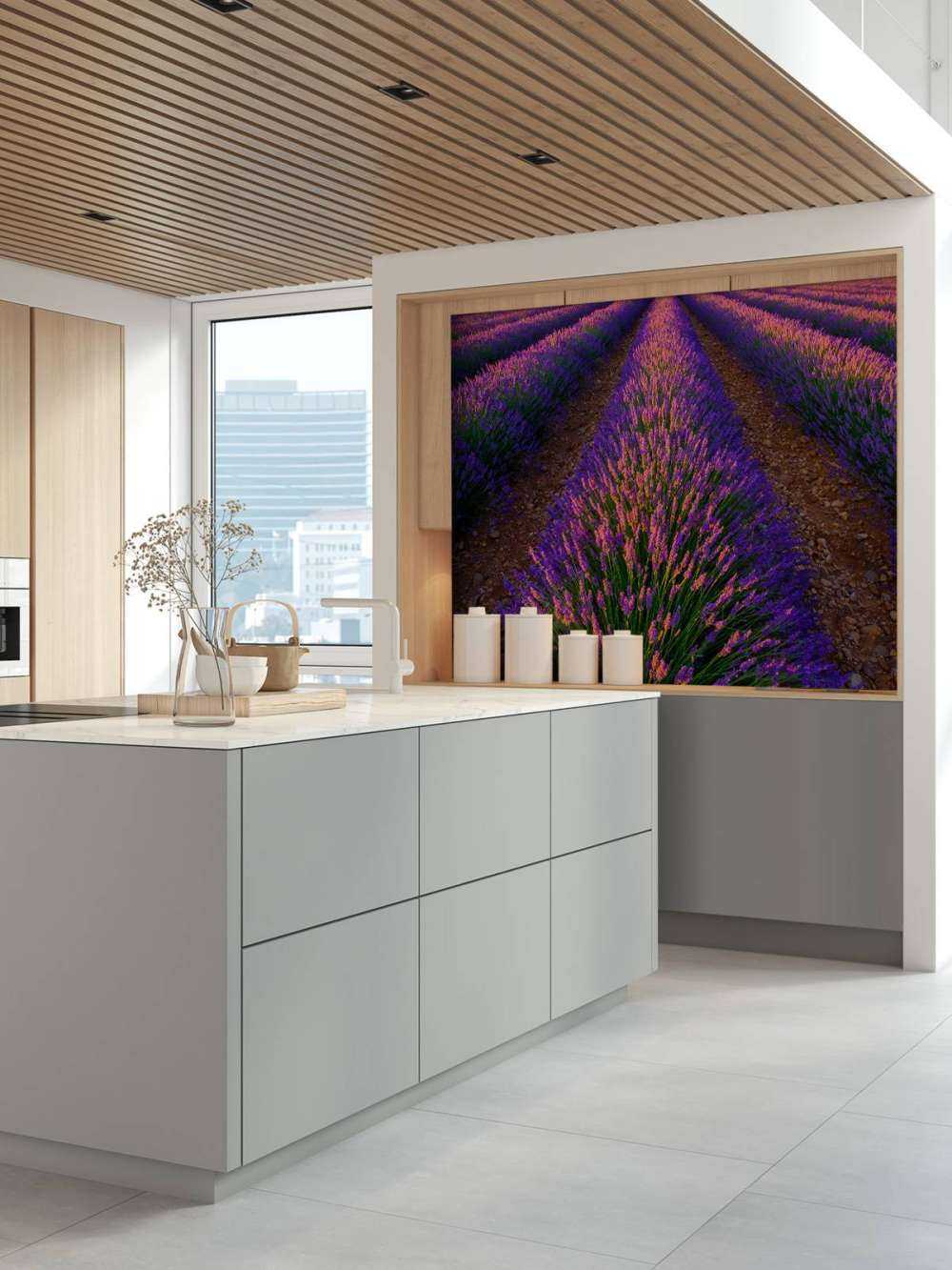 Lavanda a la luz del sol