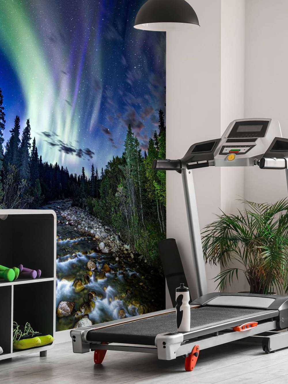 Stream durante la aurora boreal