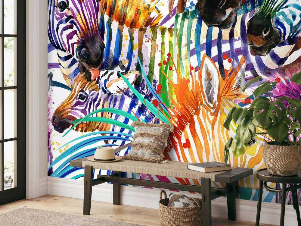 Cebras de colores