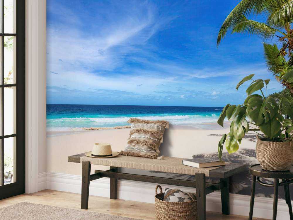 Playa tropical con palmera