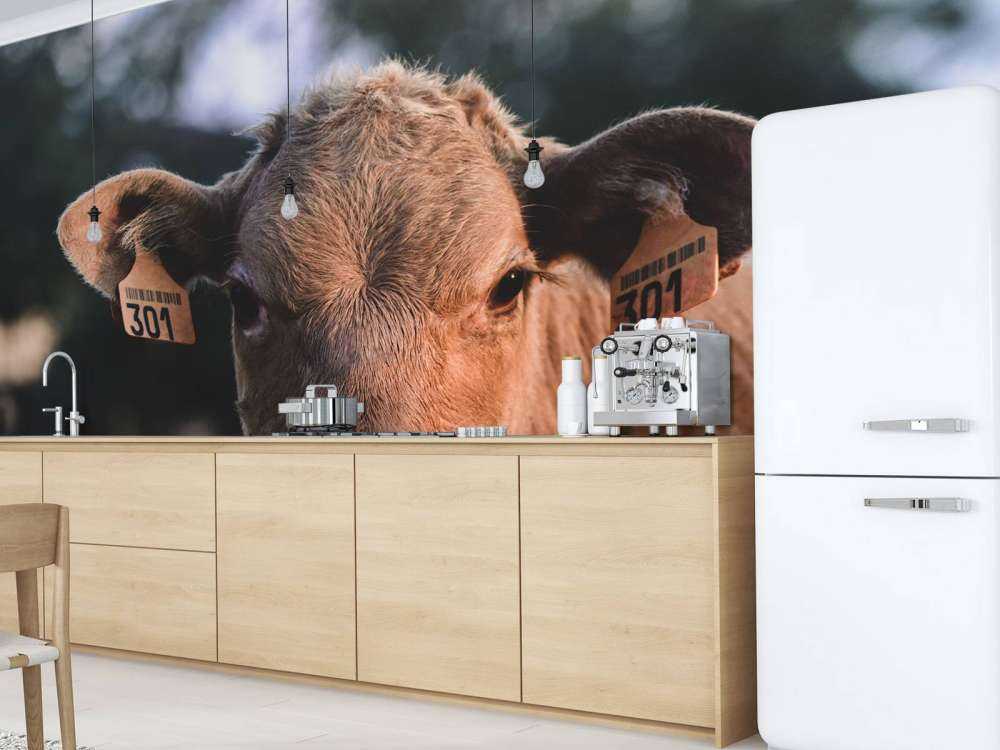 Primer plano de una vaca