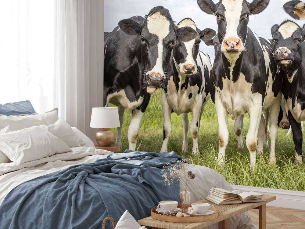 Rebaño con vacas