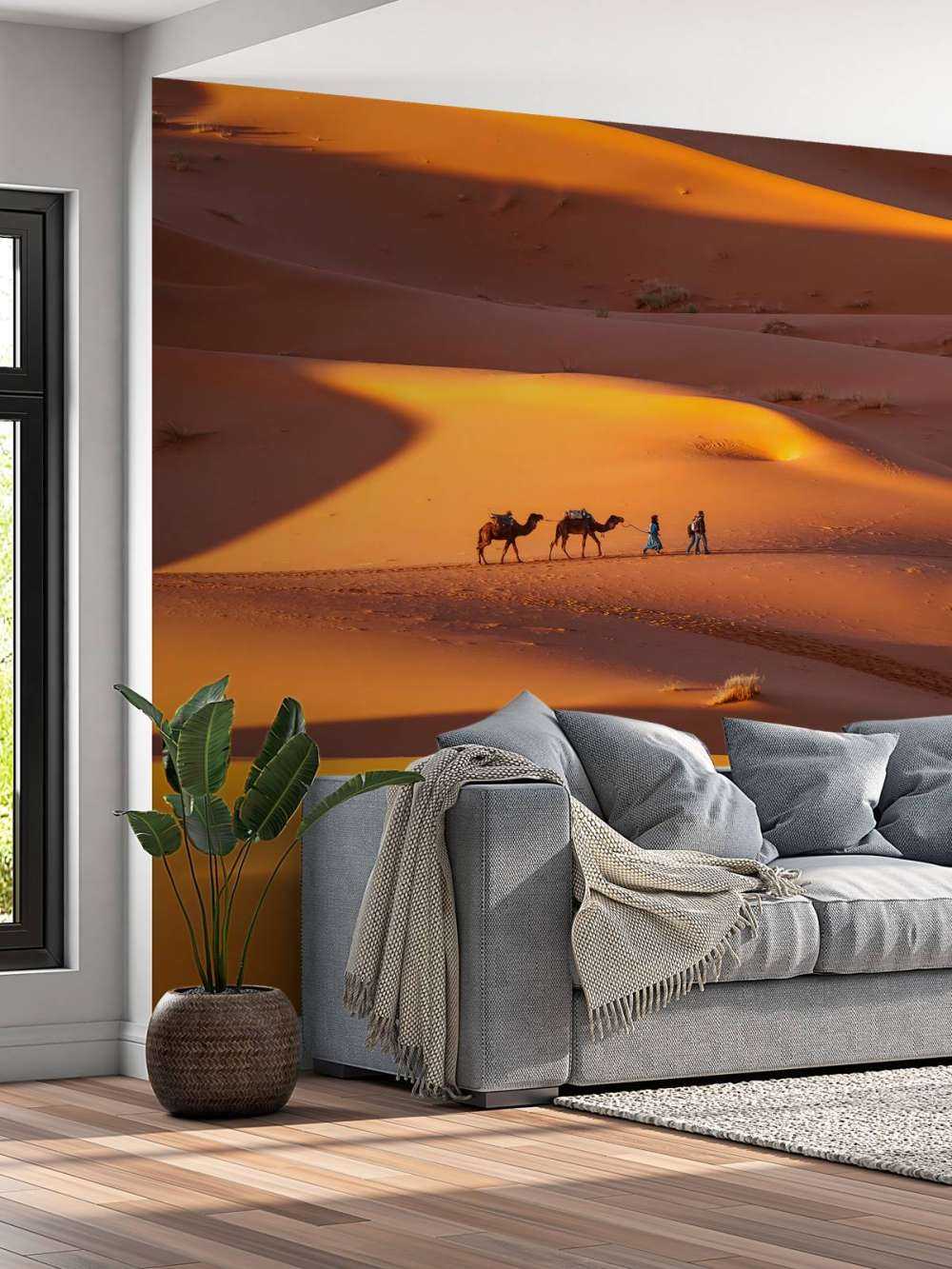 Vista superior del desierto