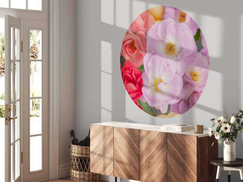 Flores de colores