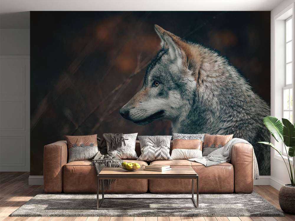 Lobo