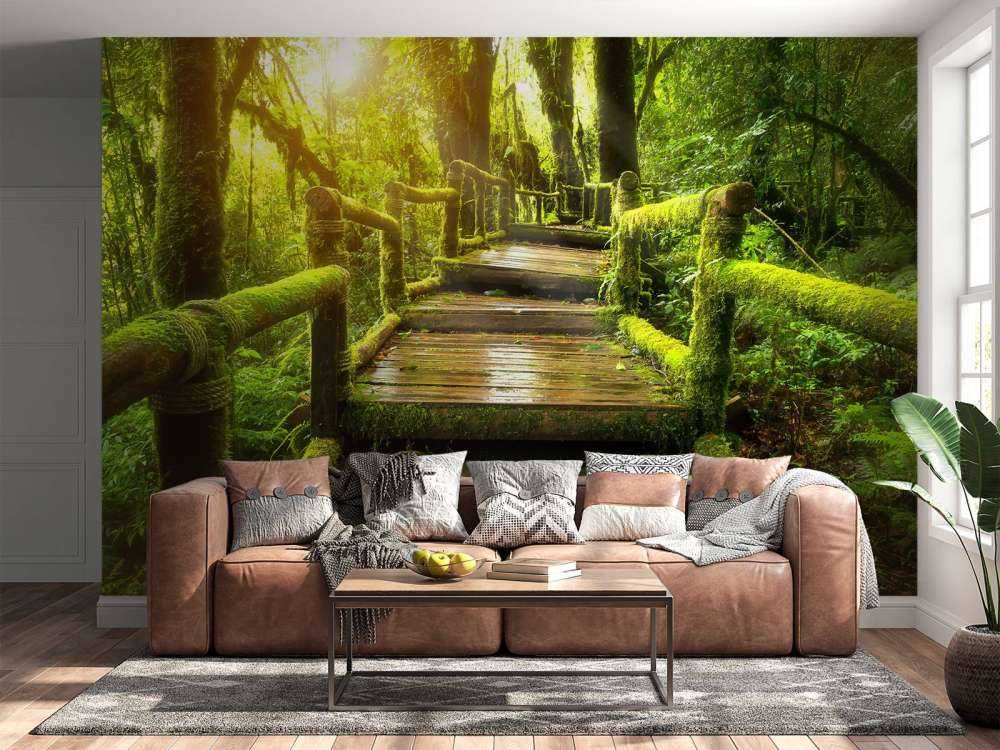 Grandes escaleras de la selva