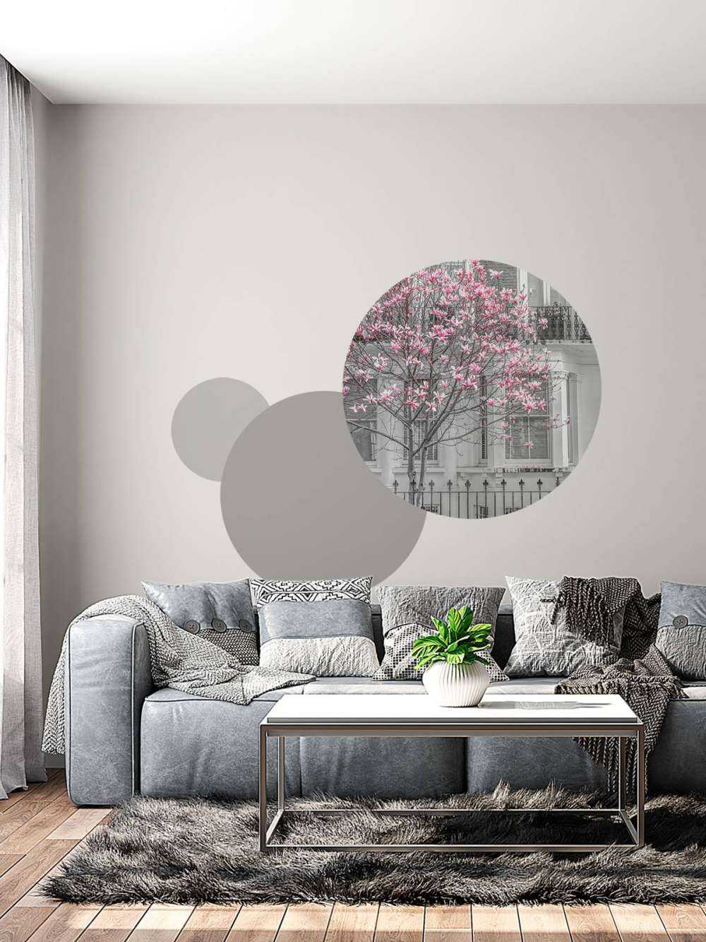 Magnolio en flor