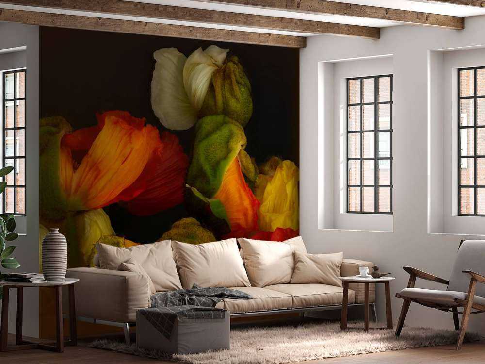 Amapolas florecientes