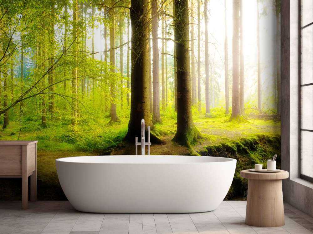 Bosque verde y fresco